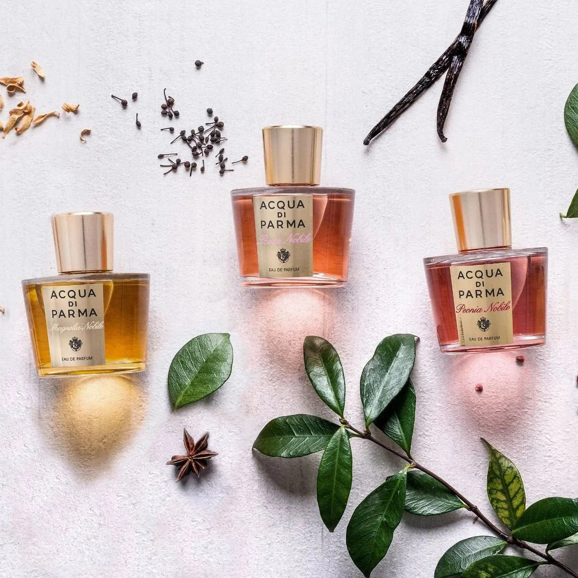 Acqua Di Parma Peonia Nobile EDP - Image 4