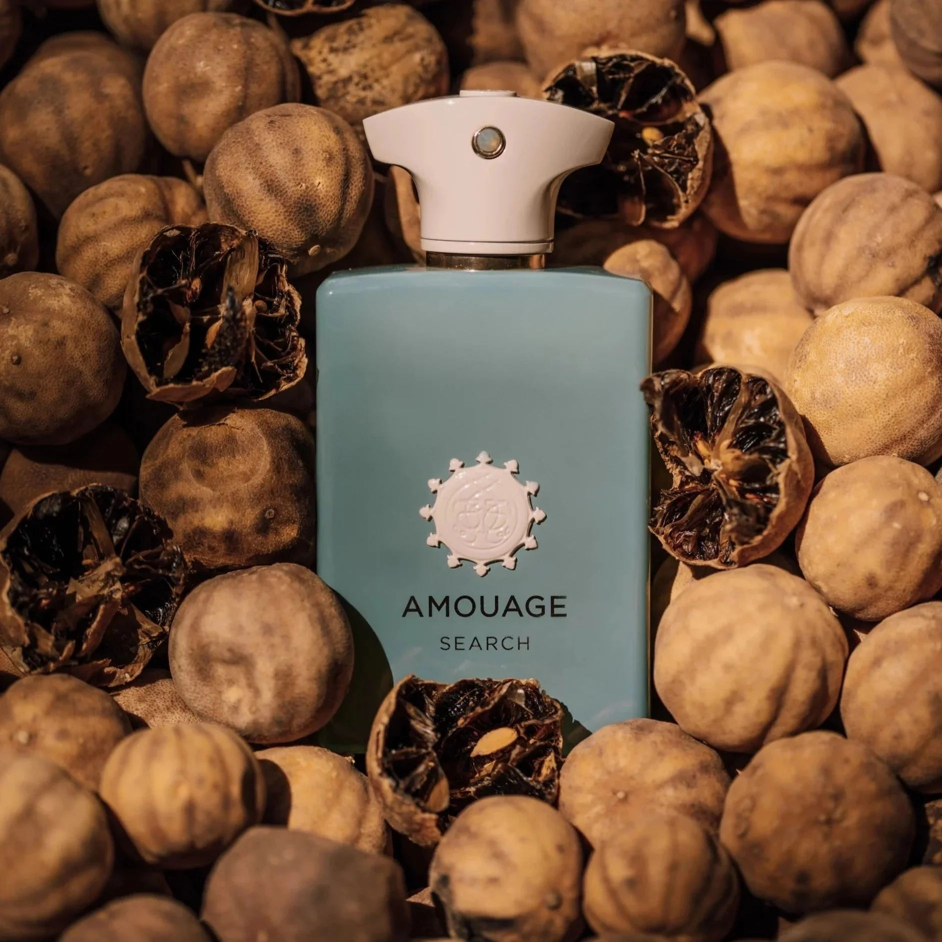 Amouage Search EDP - Image 4