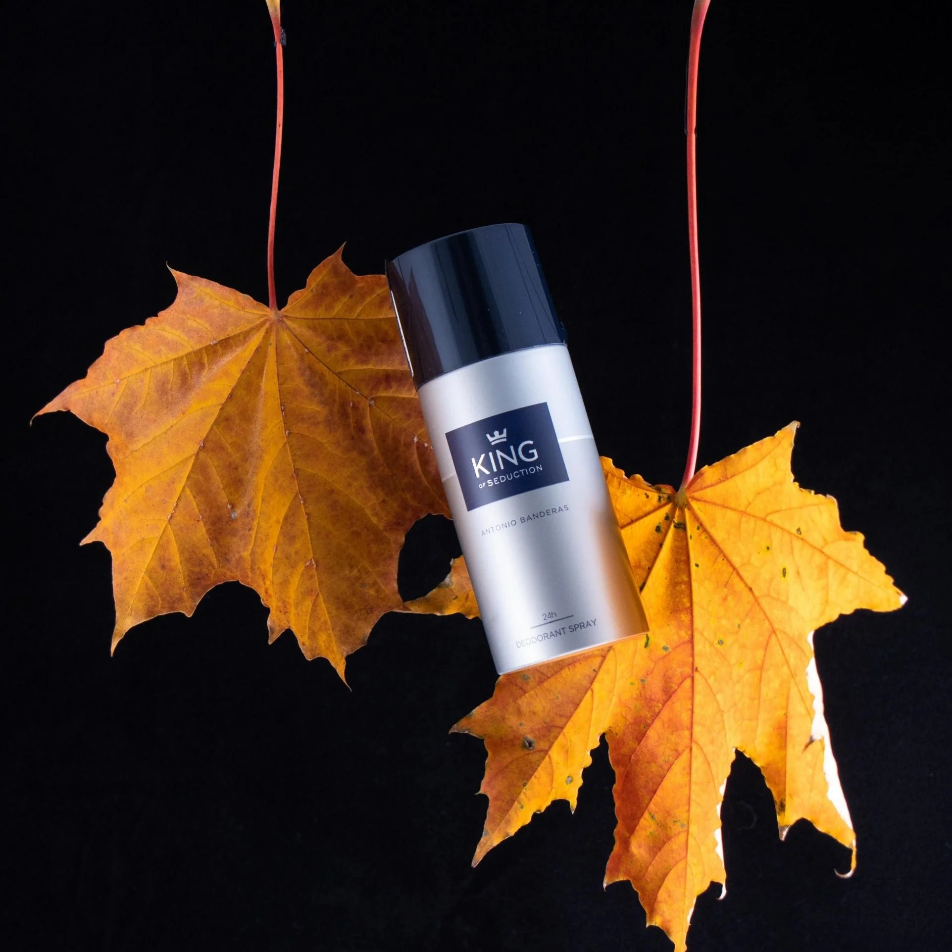 Antonio Banderas King Of Seduction Deodorant Spray - Image 2