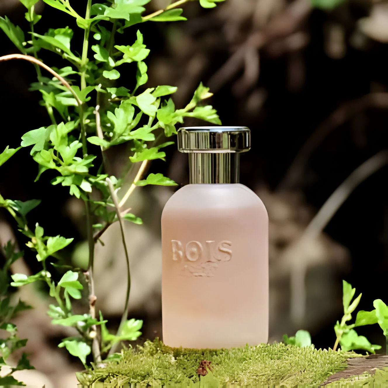 Bois 1920 Come L'Amore EDP - Image 2