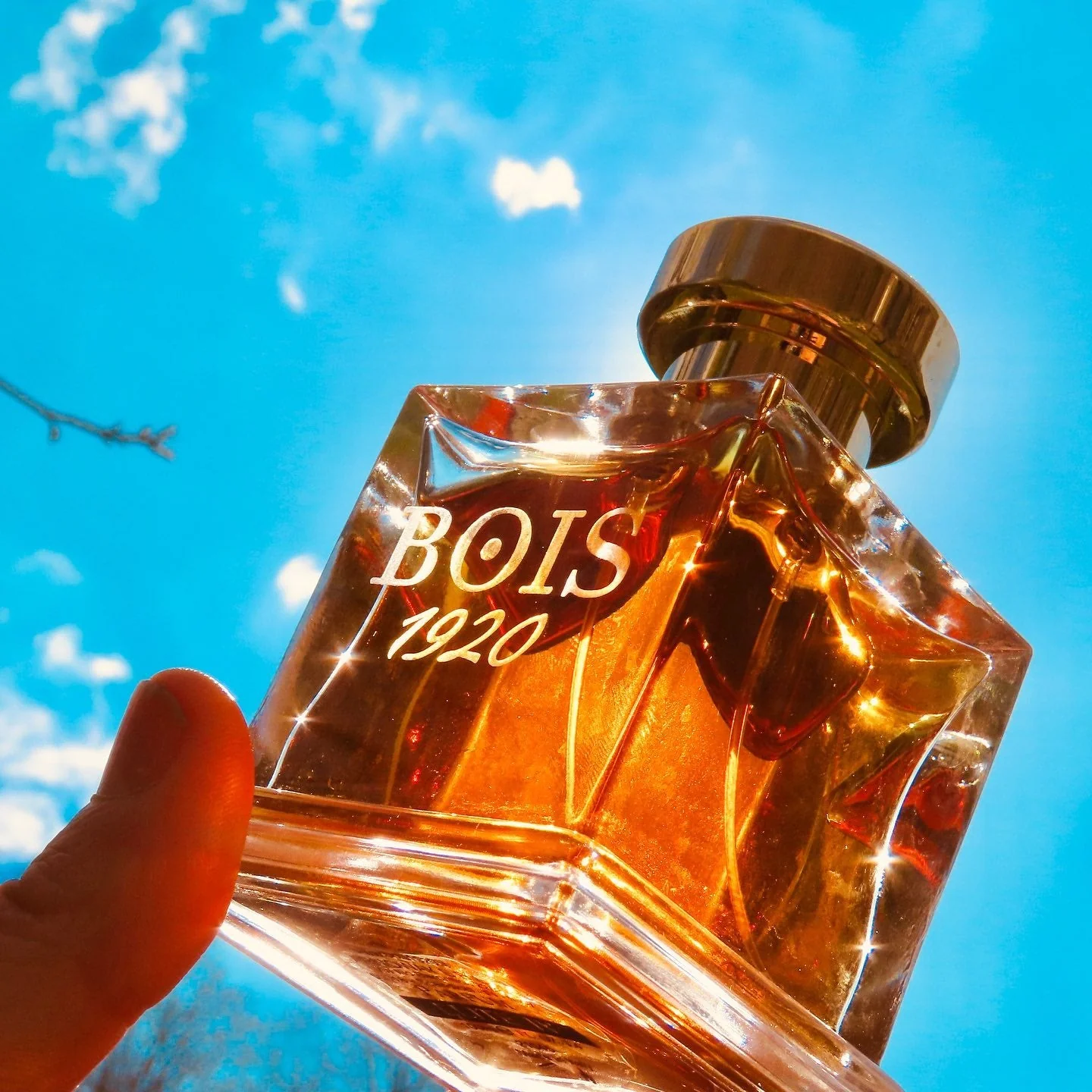 Bois 1920 Elite Iii - Image 2