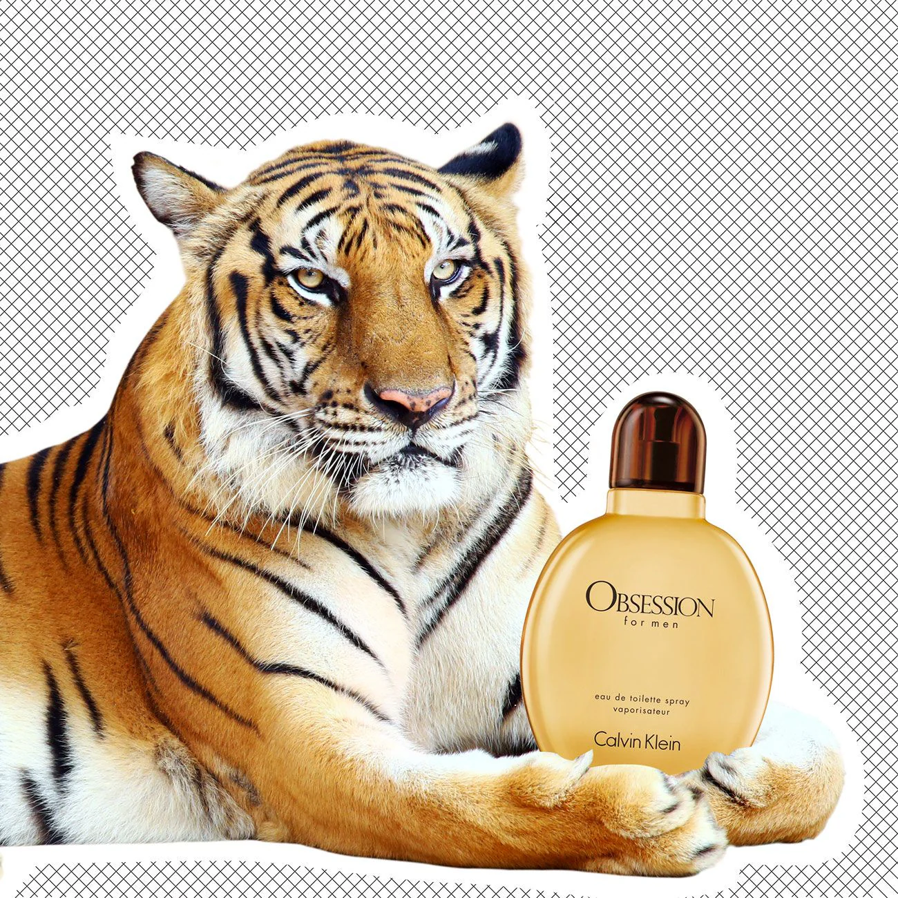 Calvin Klein Obsession EDT For Men - Image 4
