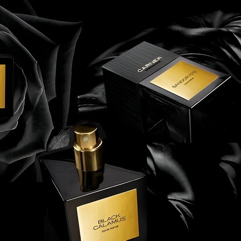 Carner Barcelona Sandor 70's EDP - Image 3