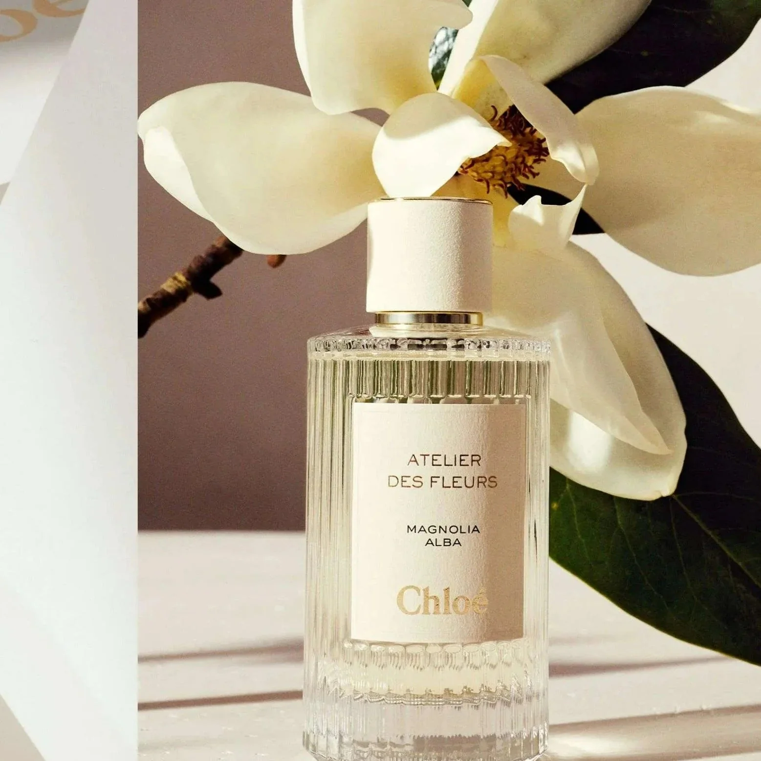 Chloe Atelier Des Fleurs Cedrus EDP - Image 3