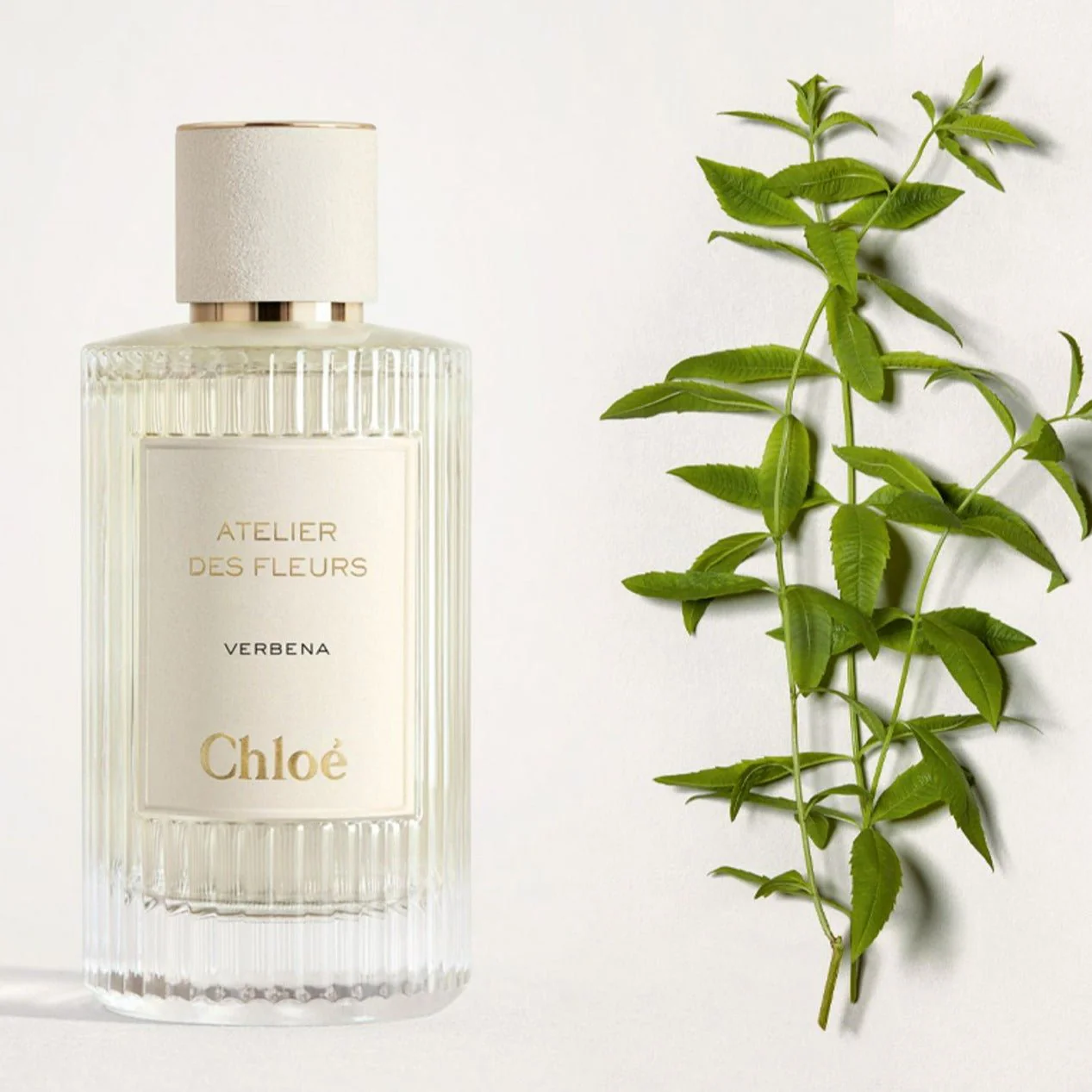 Chloe Atelier Des Fleurs Verbena EDP - Image 2