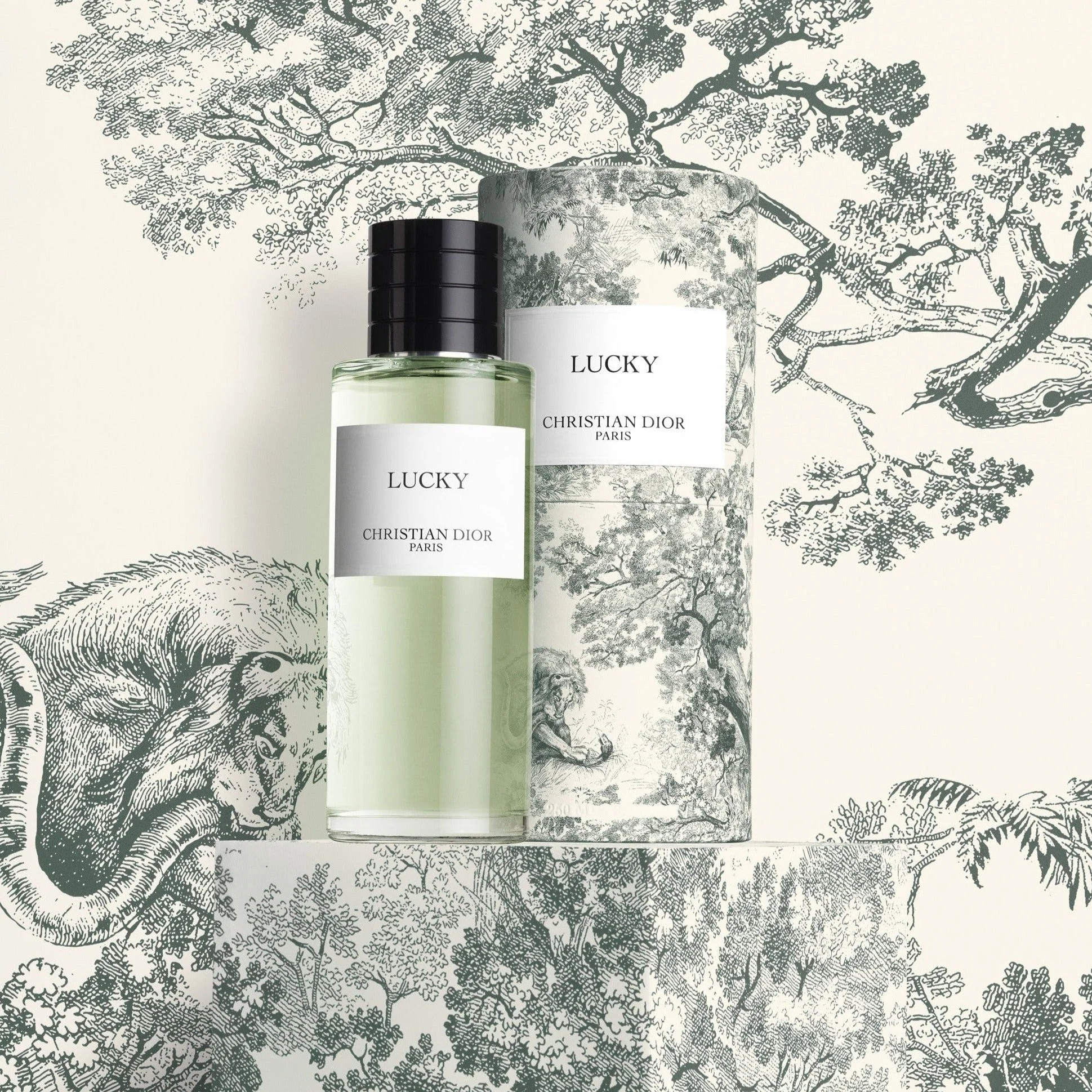 Christian Dior Lucky Limited Edition EDP - Image 6