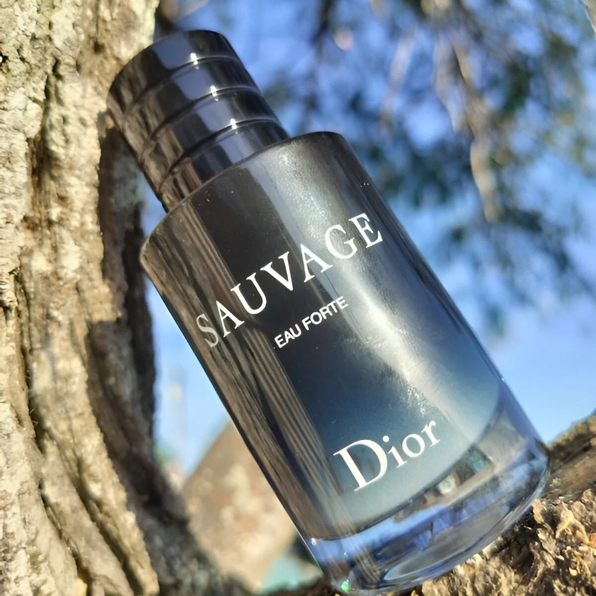 Christian Dior Sauvage Eau Forte Parfum Alcohol-Free - Image 3