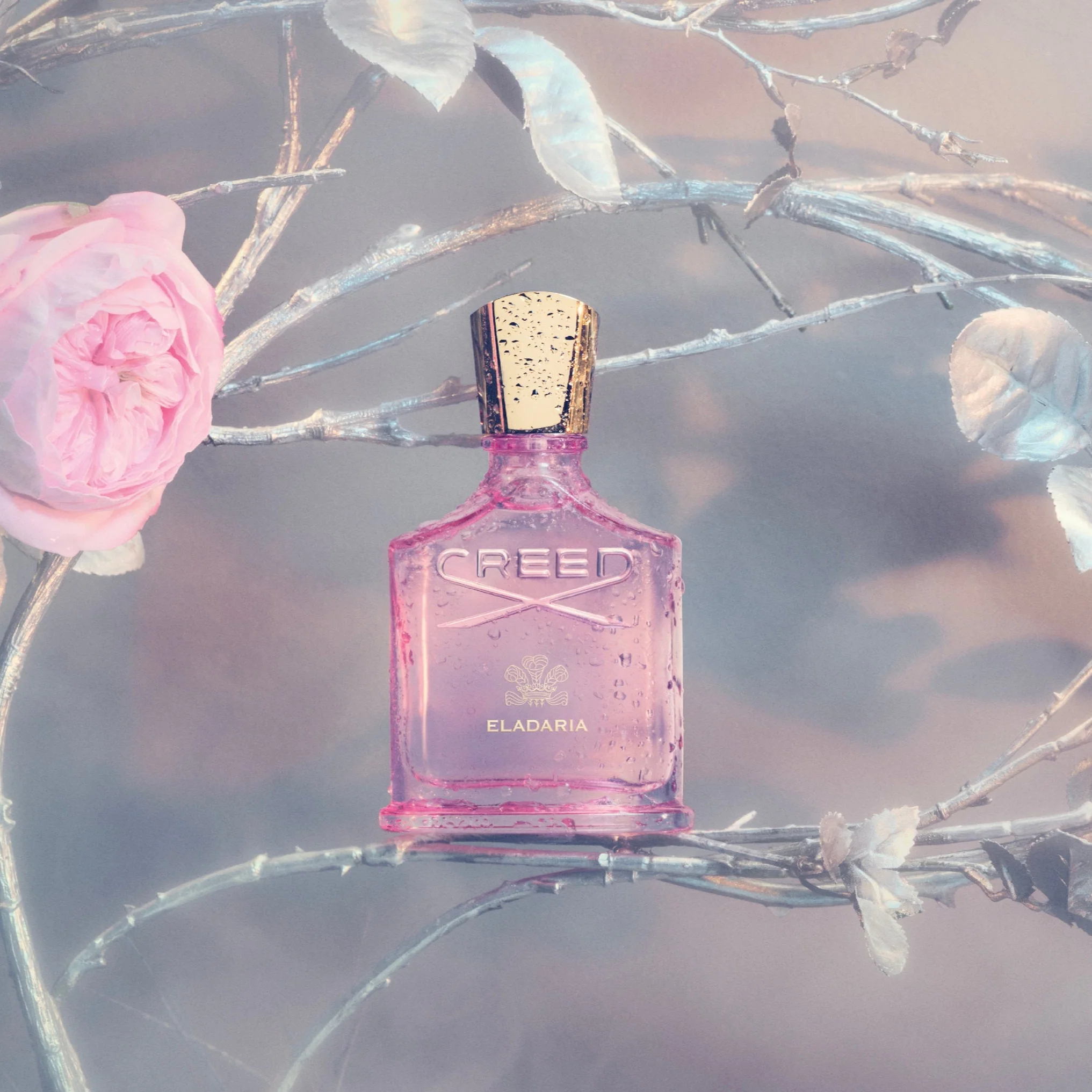 Creed Eladaria EDP - Image 3