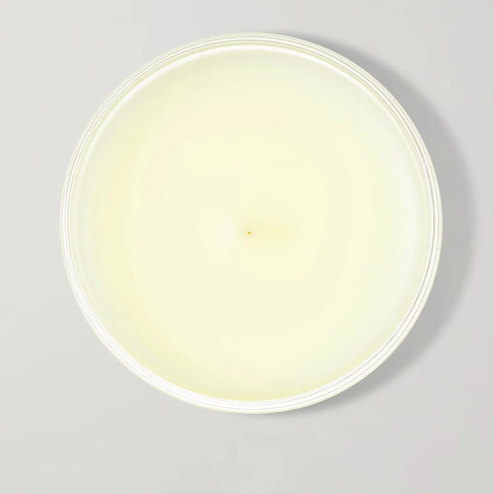Diptyque Tubereuse Scented Candle - Image 2