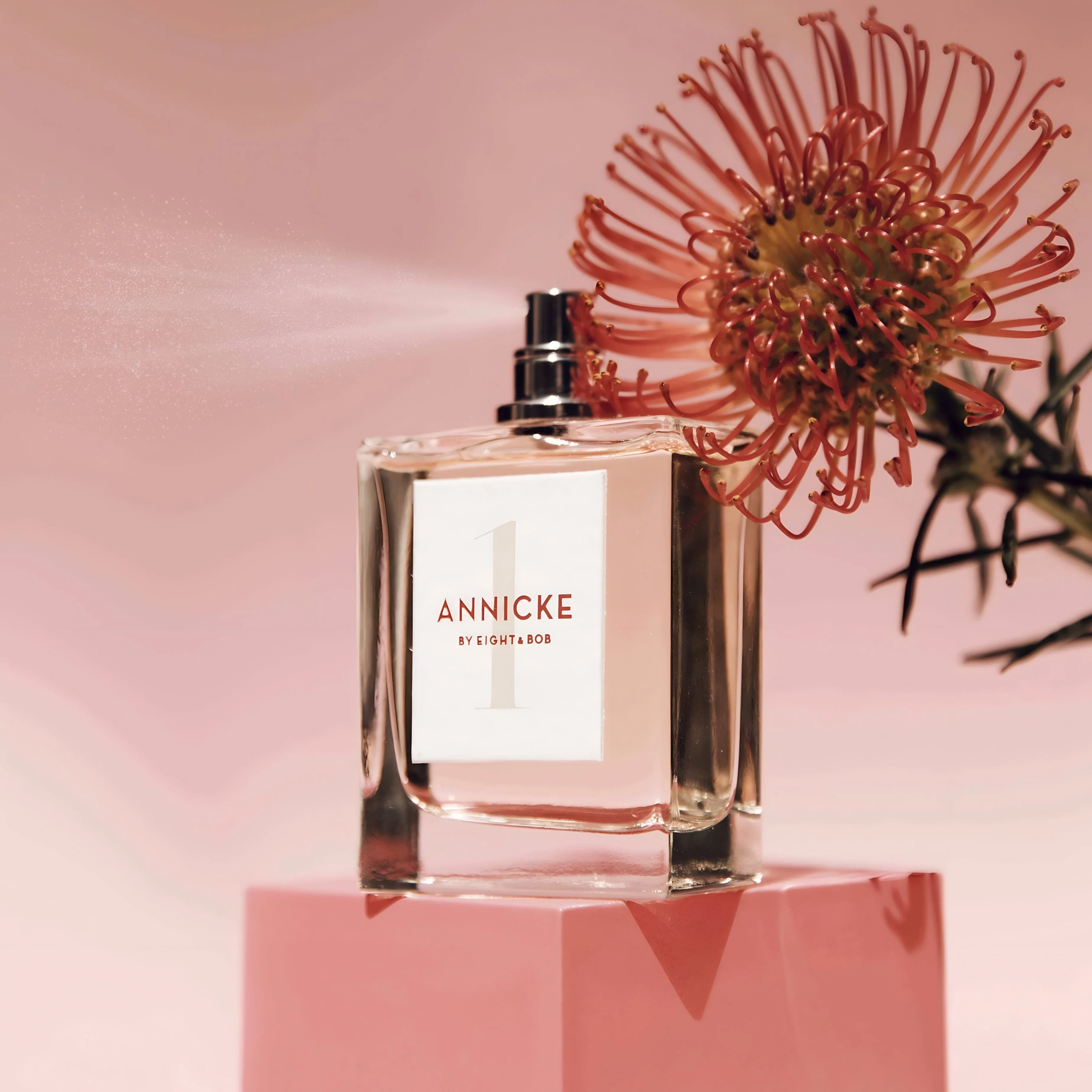Eight & Bob Annicke 1 EDP - Image 3