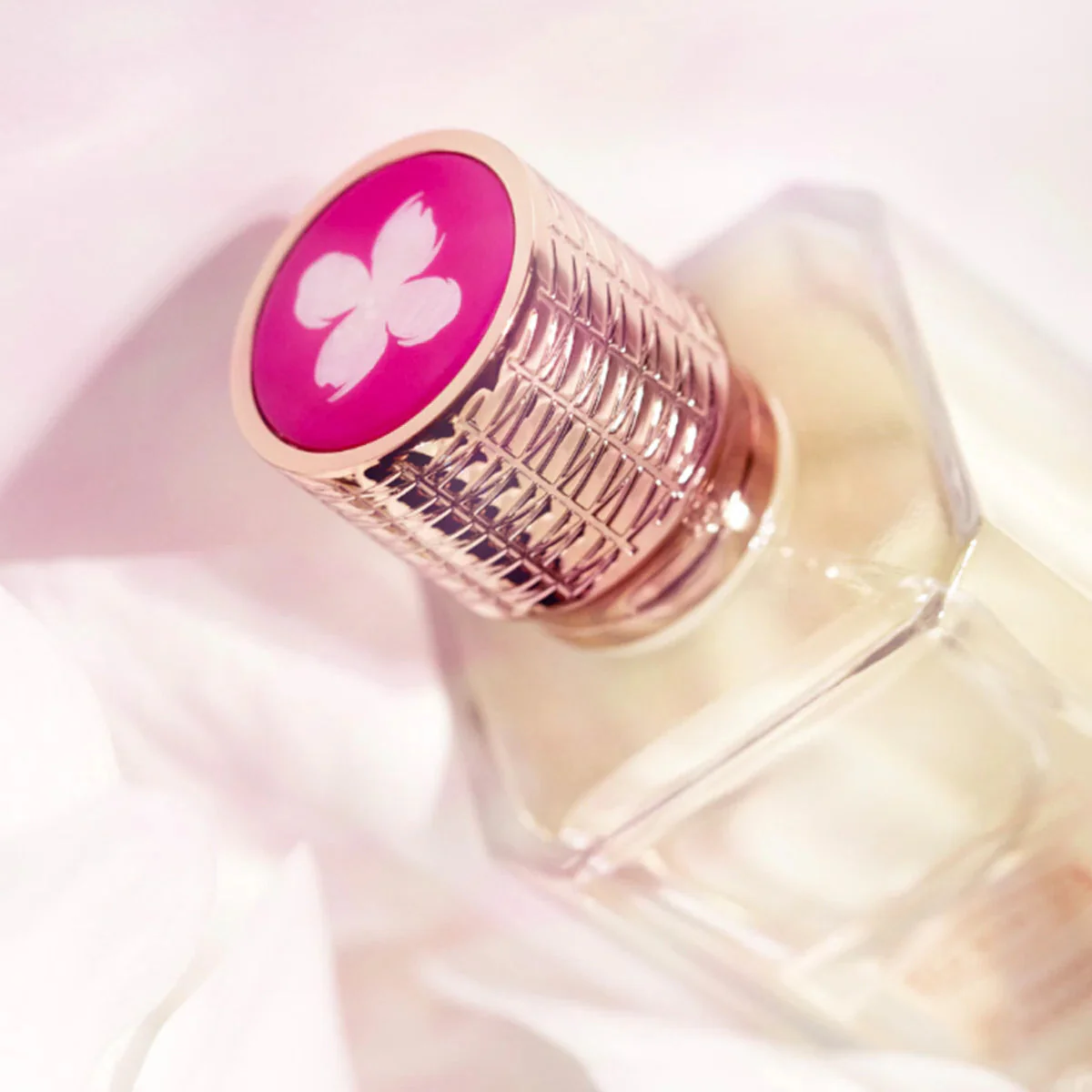 Ex Nihilo My Sweetest Morphine EDP - Image 2