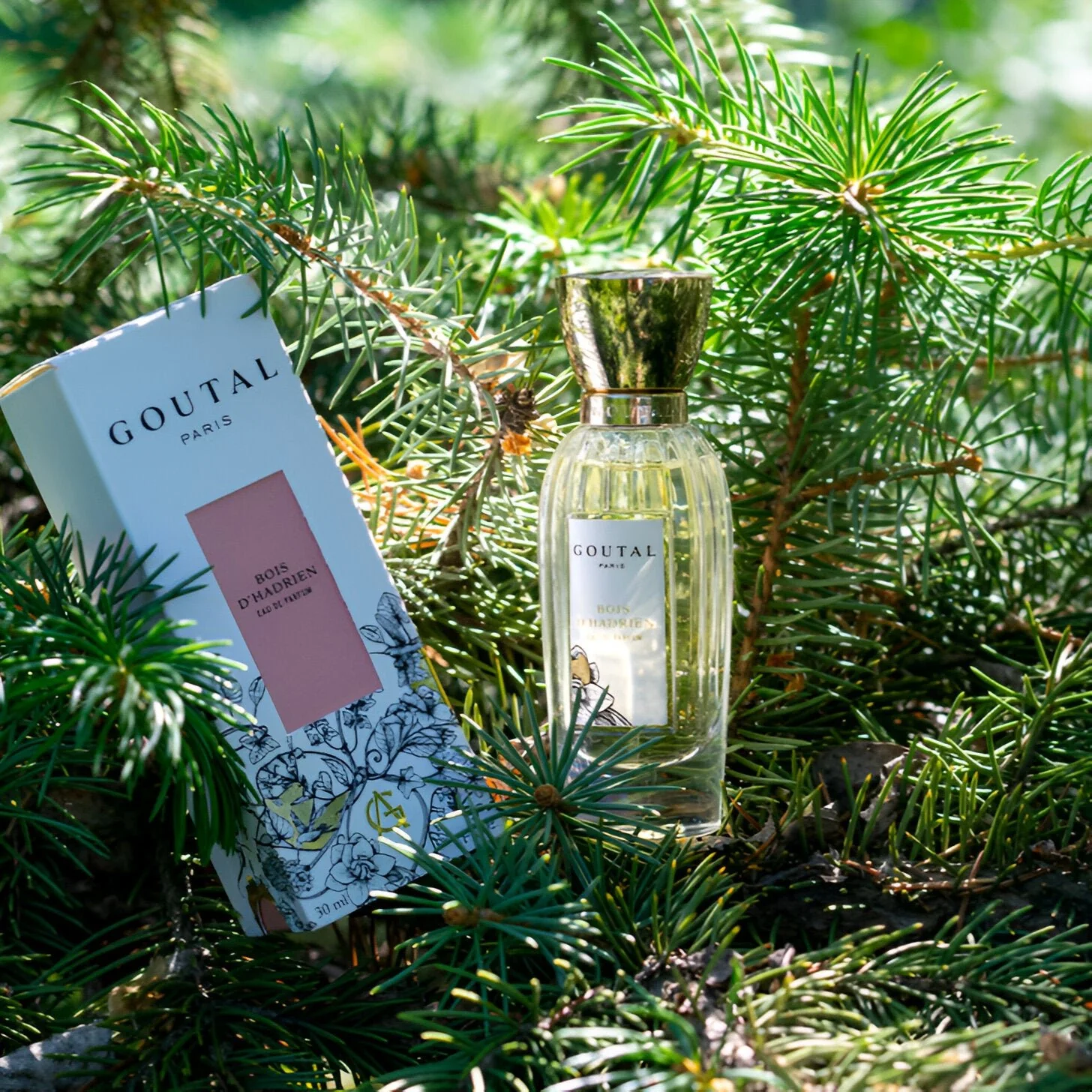 Goutal Bois D'Hadrien EDP - Image 4
