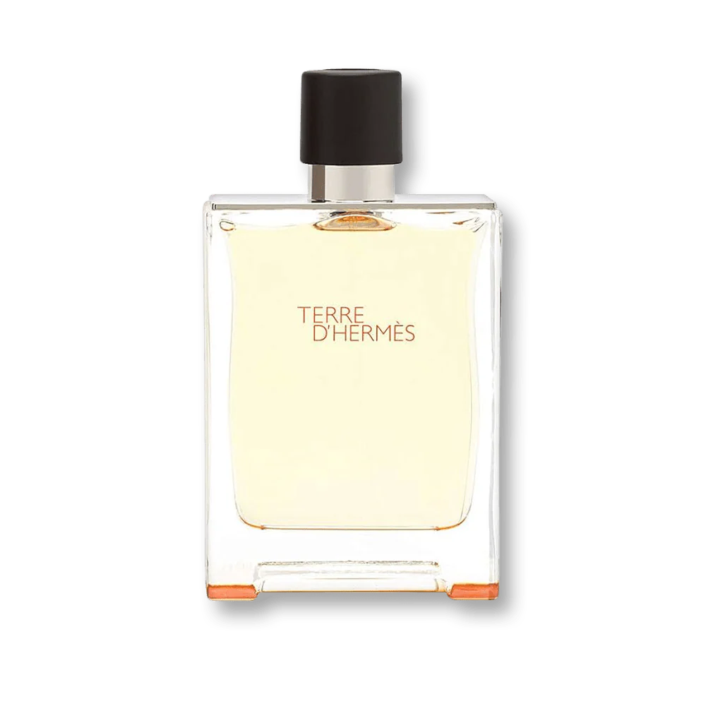 Hermes Terre D'Hermes Delux Replica EDT