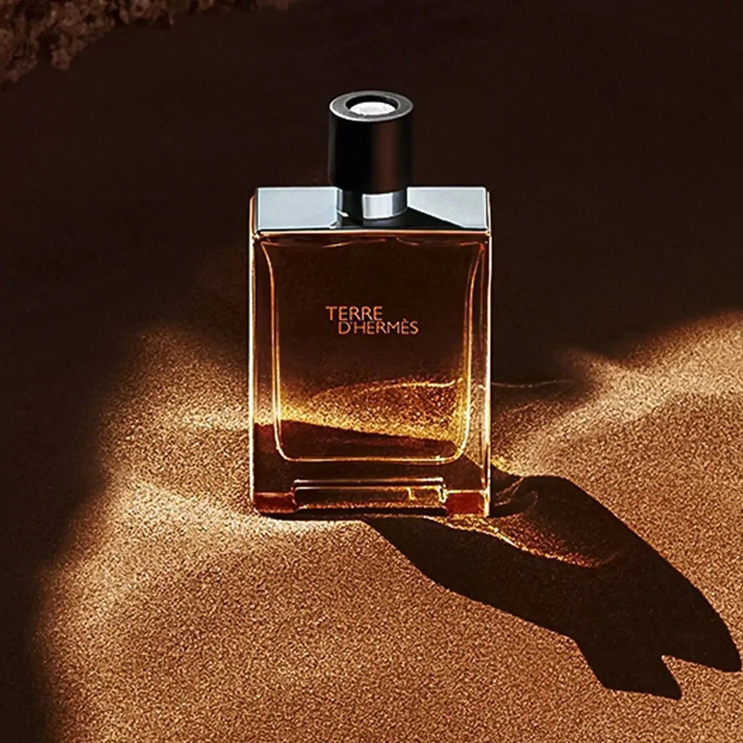 Hermes Terre D'Hermes Delux Replica EDT - Image 2