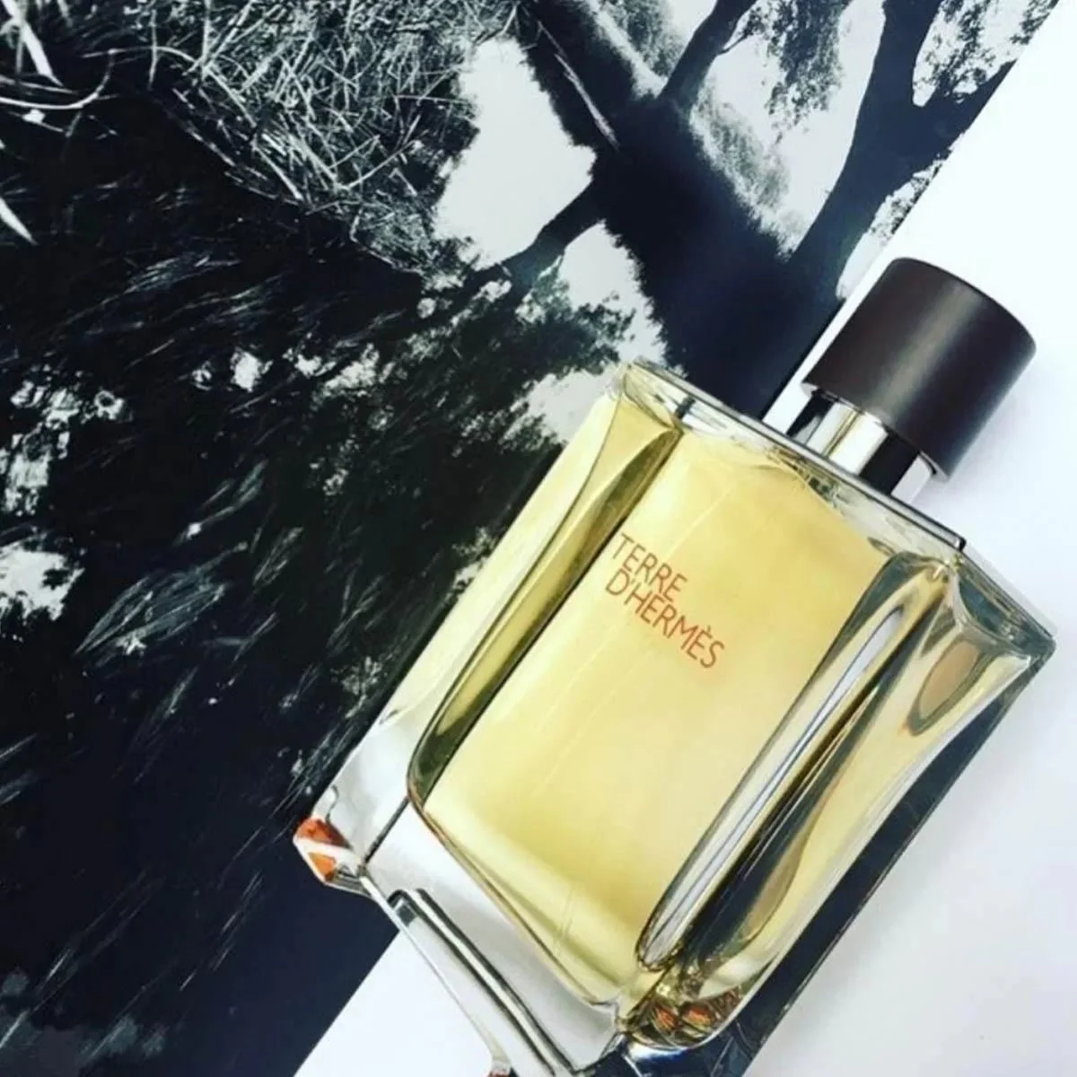 Hermes Terre D'Hermes Delux Replica EDT - Image 3