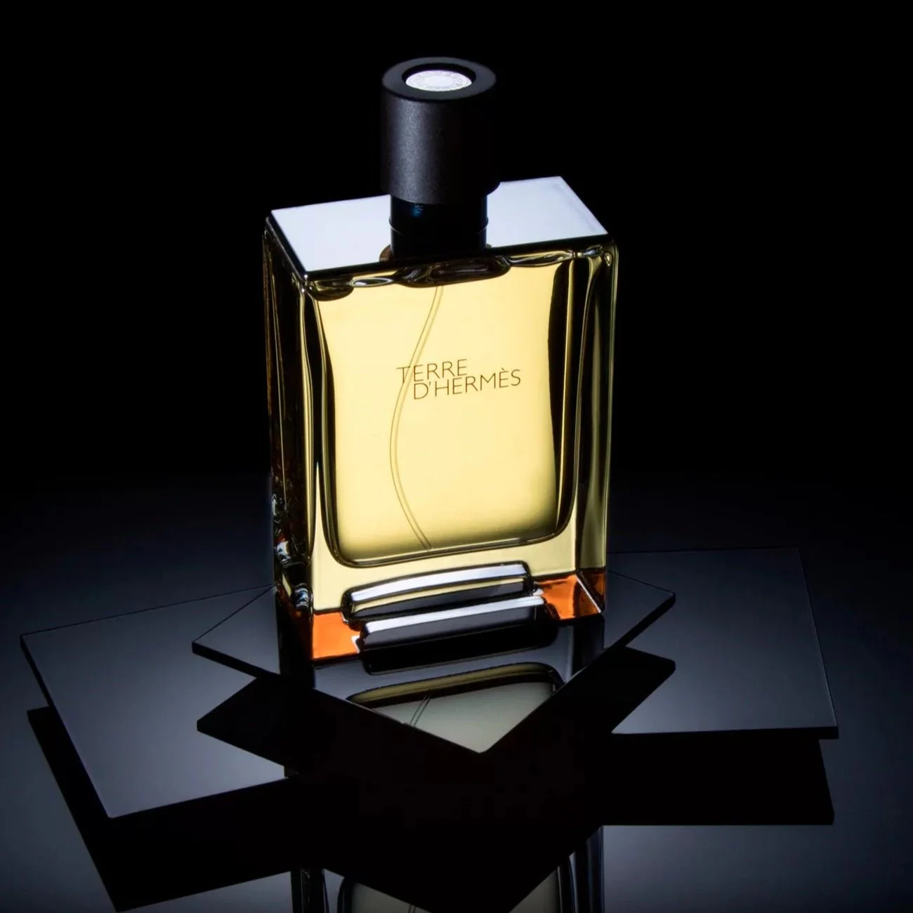 Hermes Terre D'Hermes EDT Aftershave Lotion & Shower Gel Gift Set for Men - Image 4