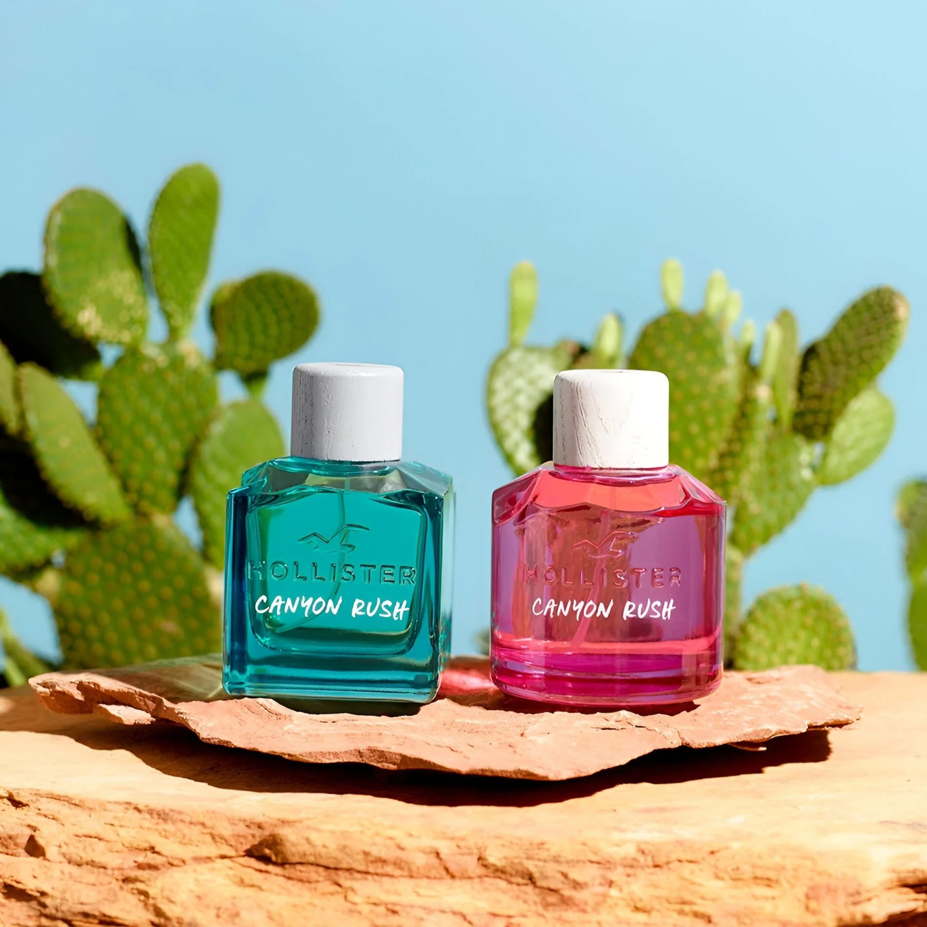 Hollister Canyon Rush EDP - Image 3