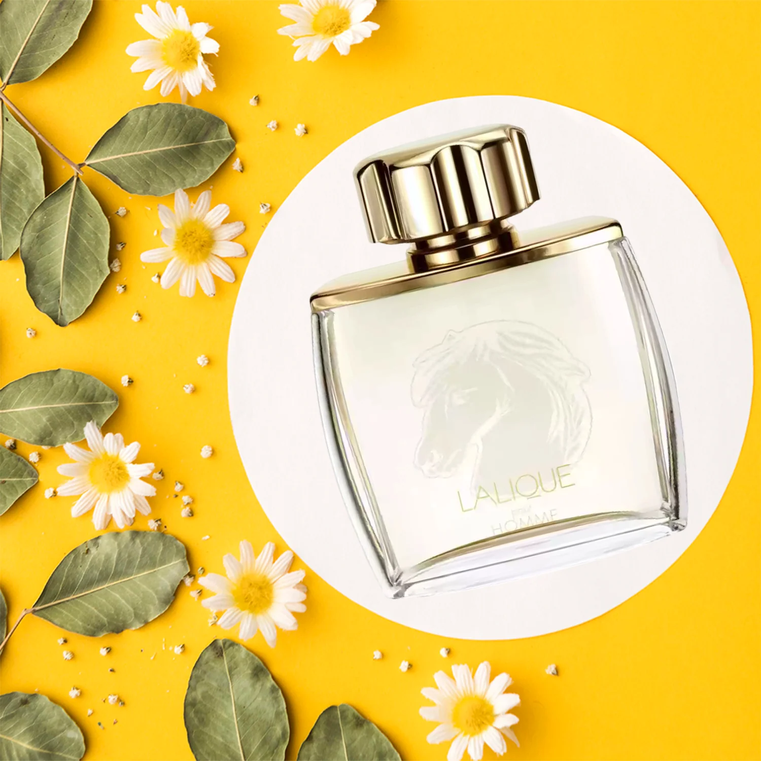 Lalique Equus Pour Homme EDP - Image 4