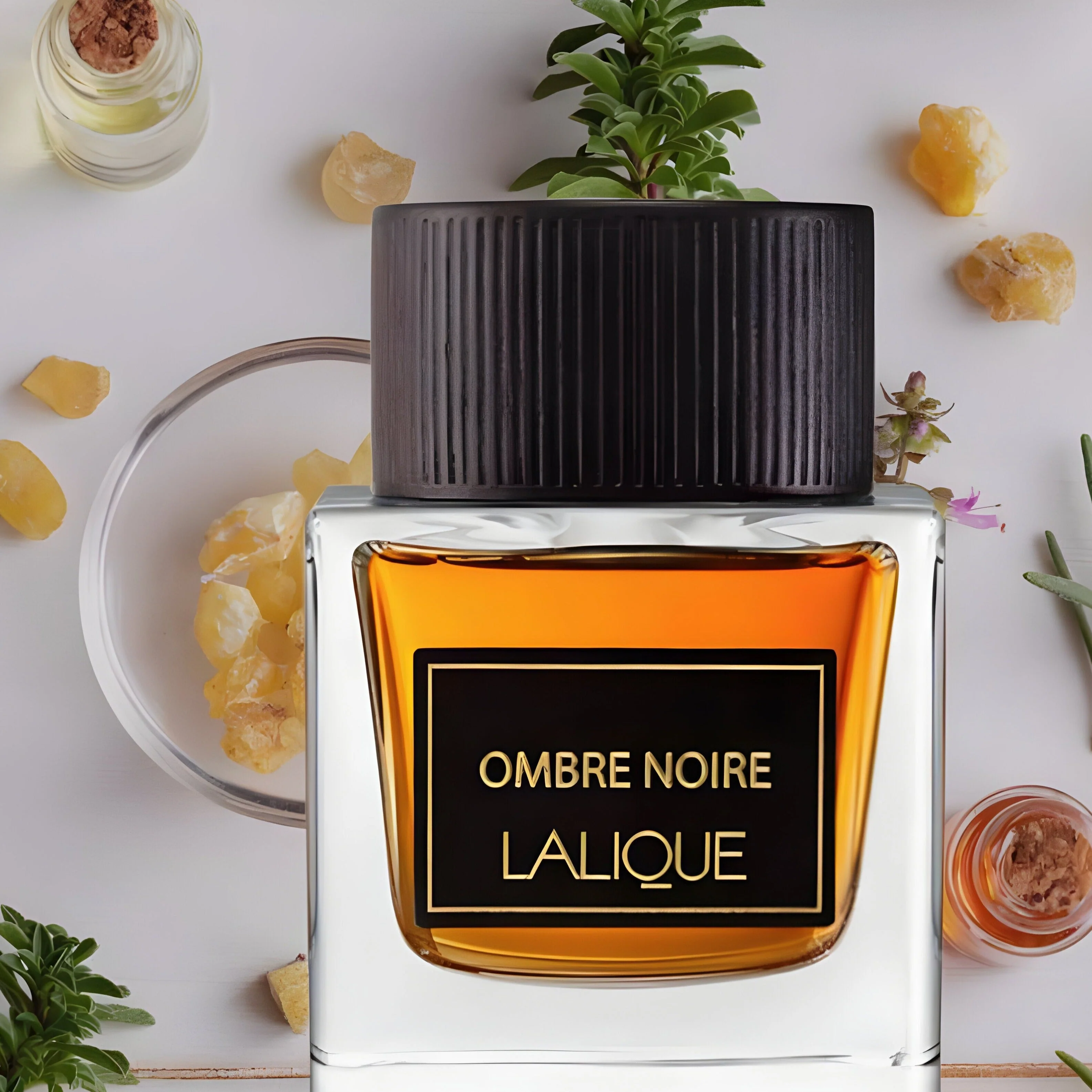 Lalique Ombre Noire EDP For Men - Image 2