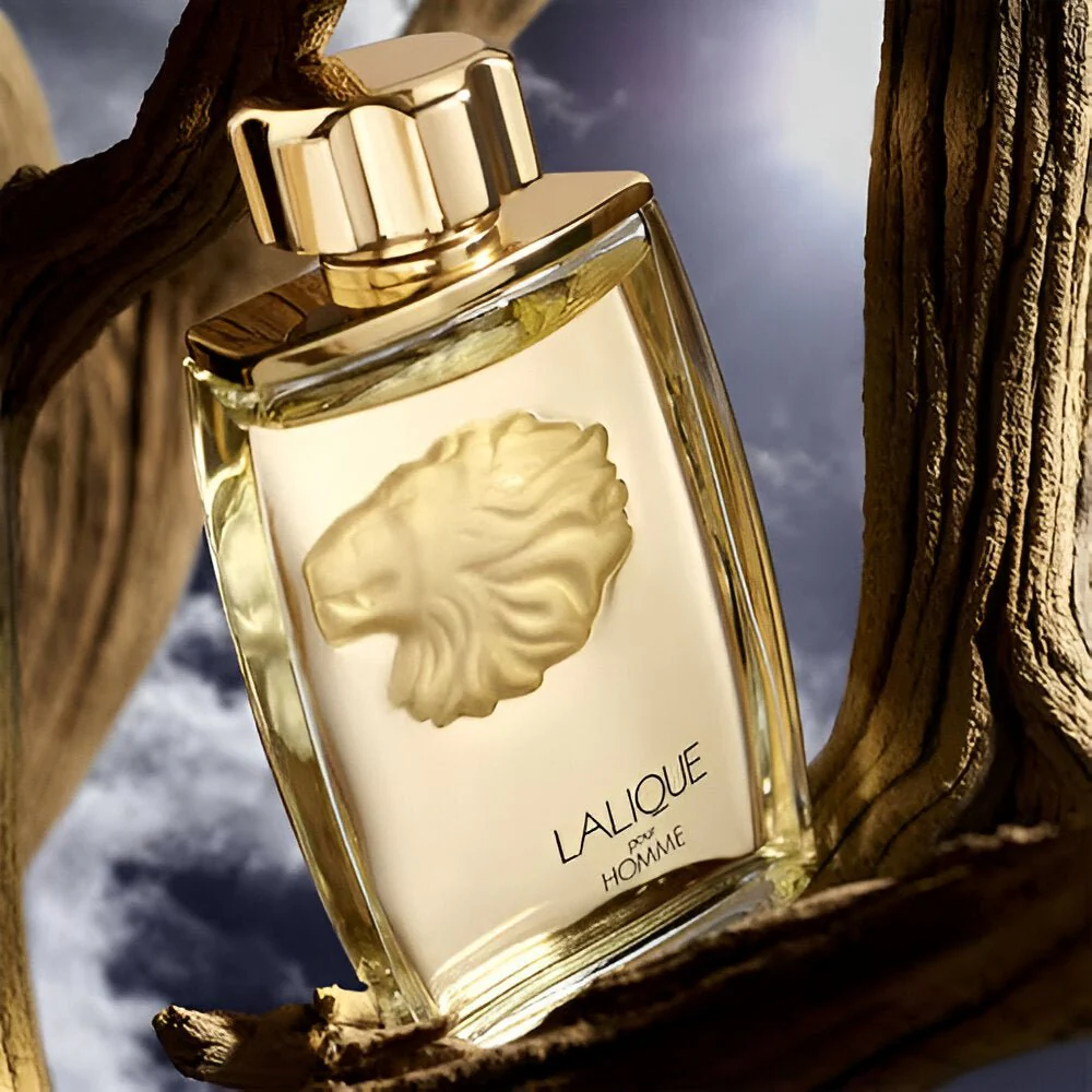 Lalique Pour Homme EDP - Image 2
