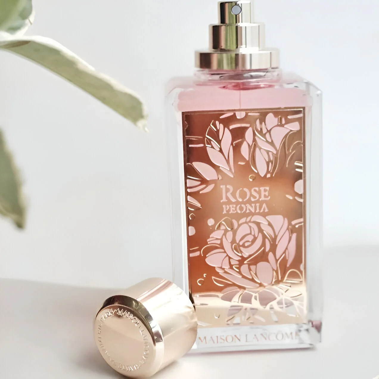 Lancome Maison Rose Peonia EDP - Image 4