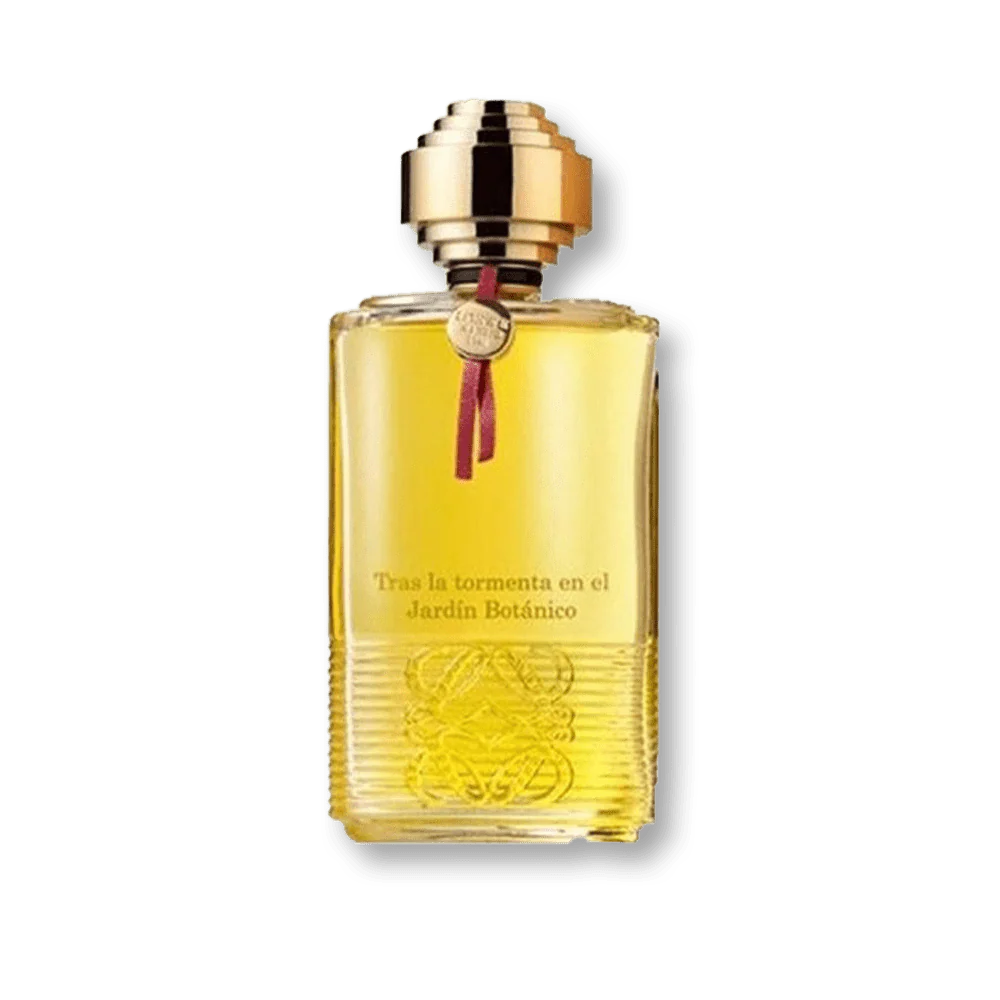 Loewe Tras La Tormenta Jardin Botanico Jardin Botanico EDP