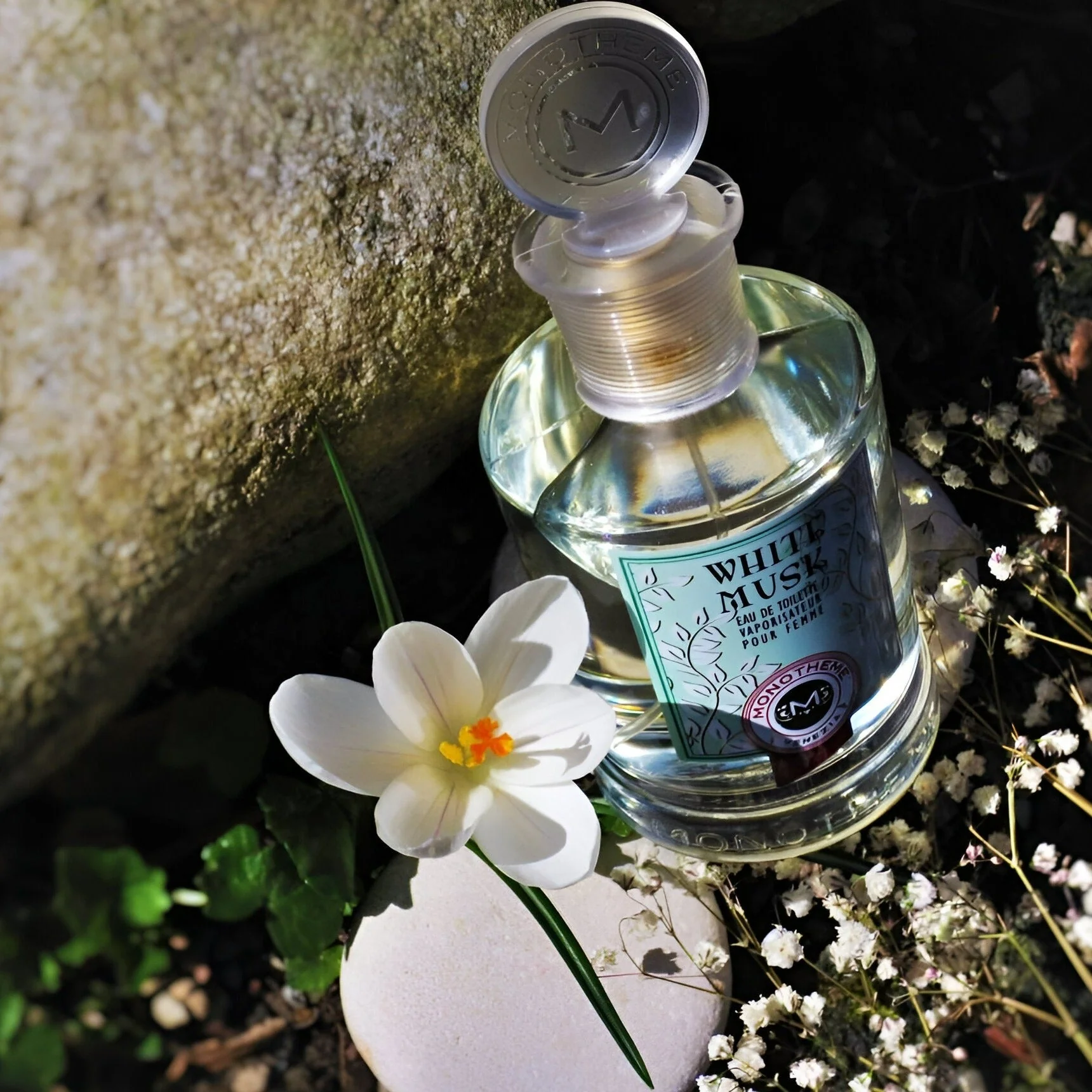 Monotheme White Musk EDT - Image 3