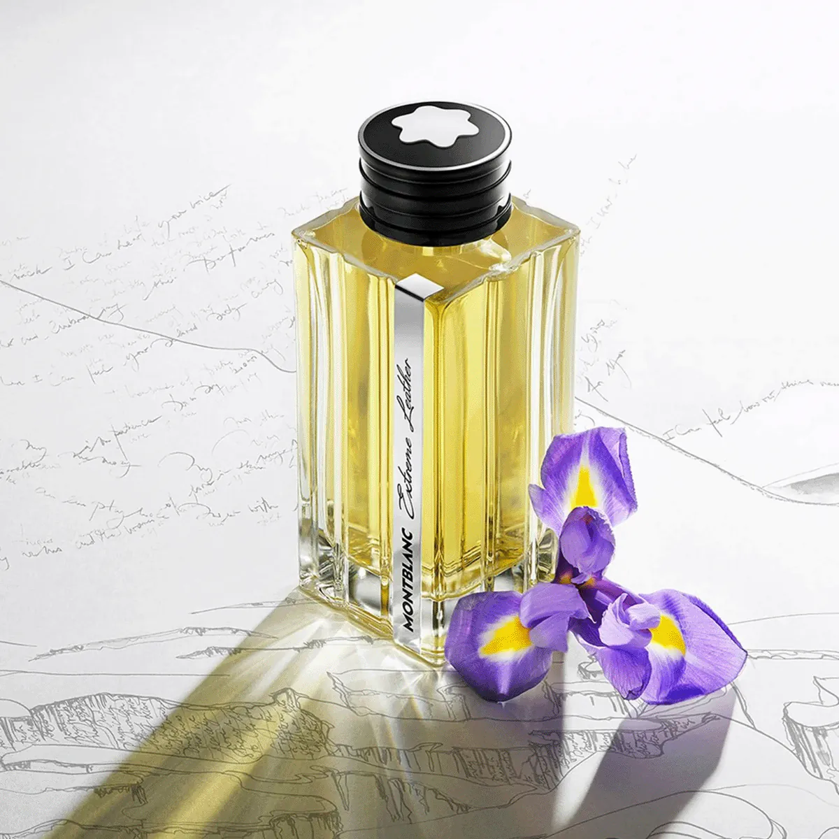 Mont Blanc Extrem Leather Smoked Iris Travel Gift Set - Image 3