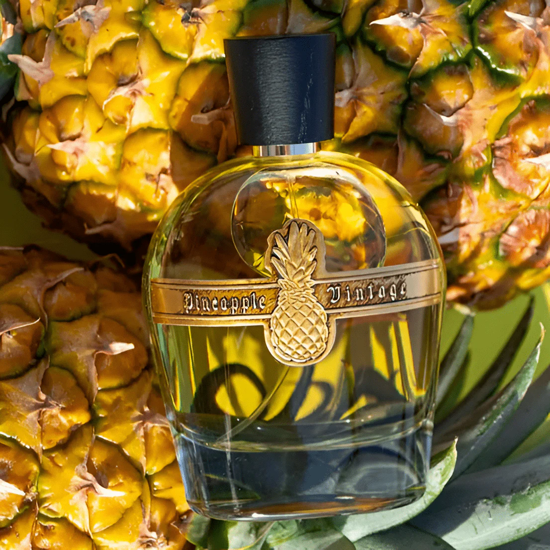 Pineapple Parfums Vintage Emperor Tiberius EDP - Image 3
