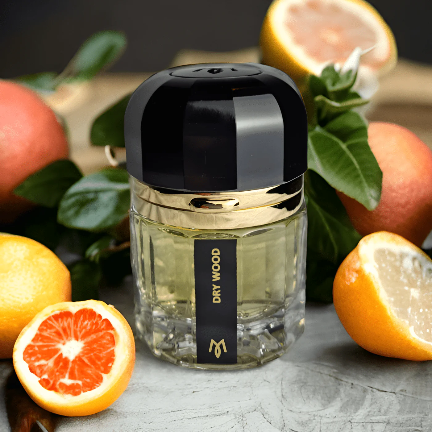 Ramon Monegal Dry Wood EDP - Image 3