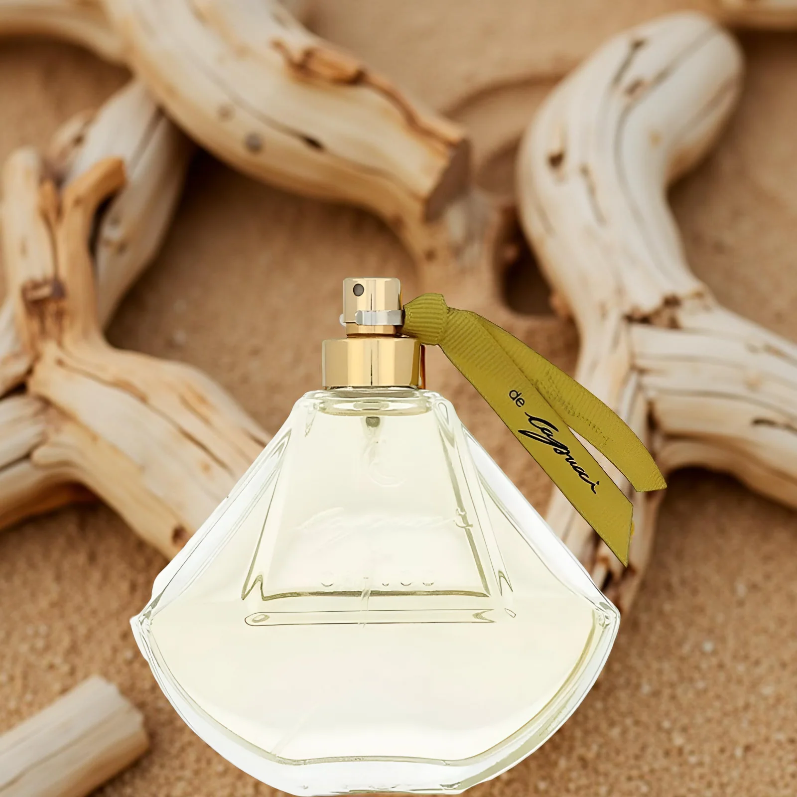 Roberto Capucci De Capucci EDP For Women - Image 4
