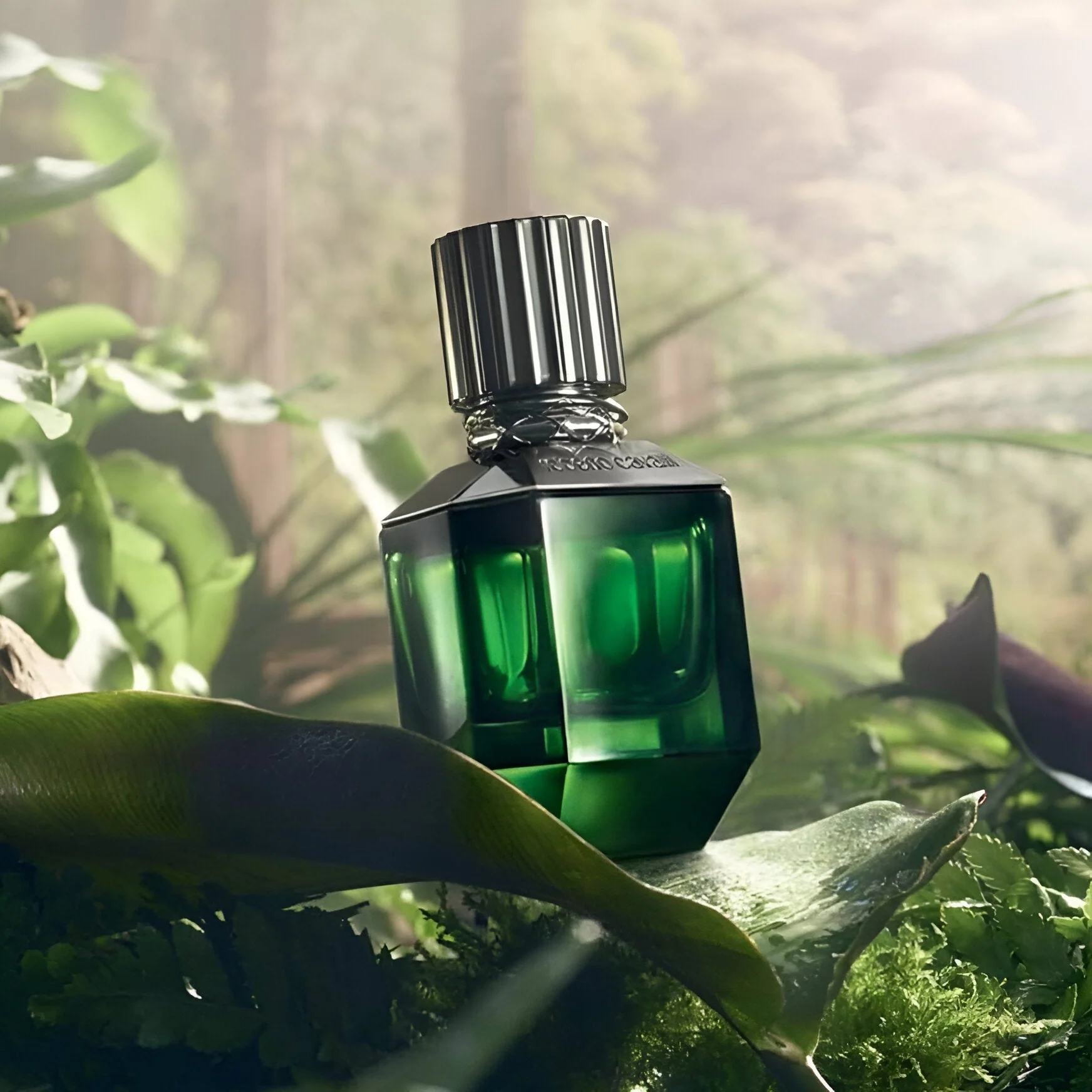 Roberto Cavalli Paradise Found EDT - Image 3