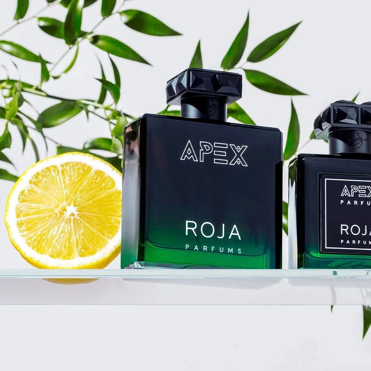 Roja Parfums Apex EDP - Image 4