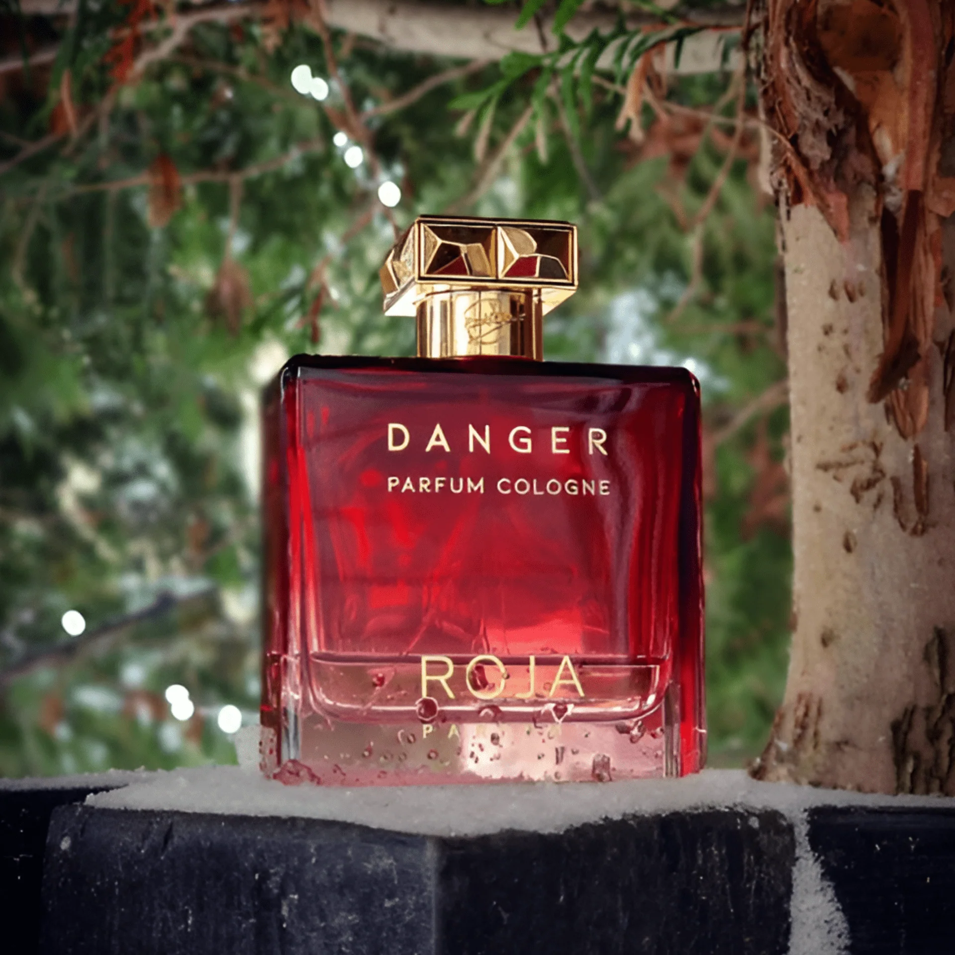 Roja Parfums Danger Pour Homme Parfum - Image 3