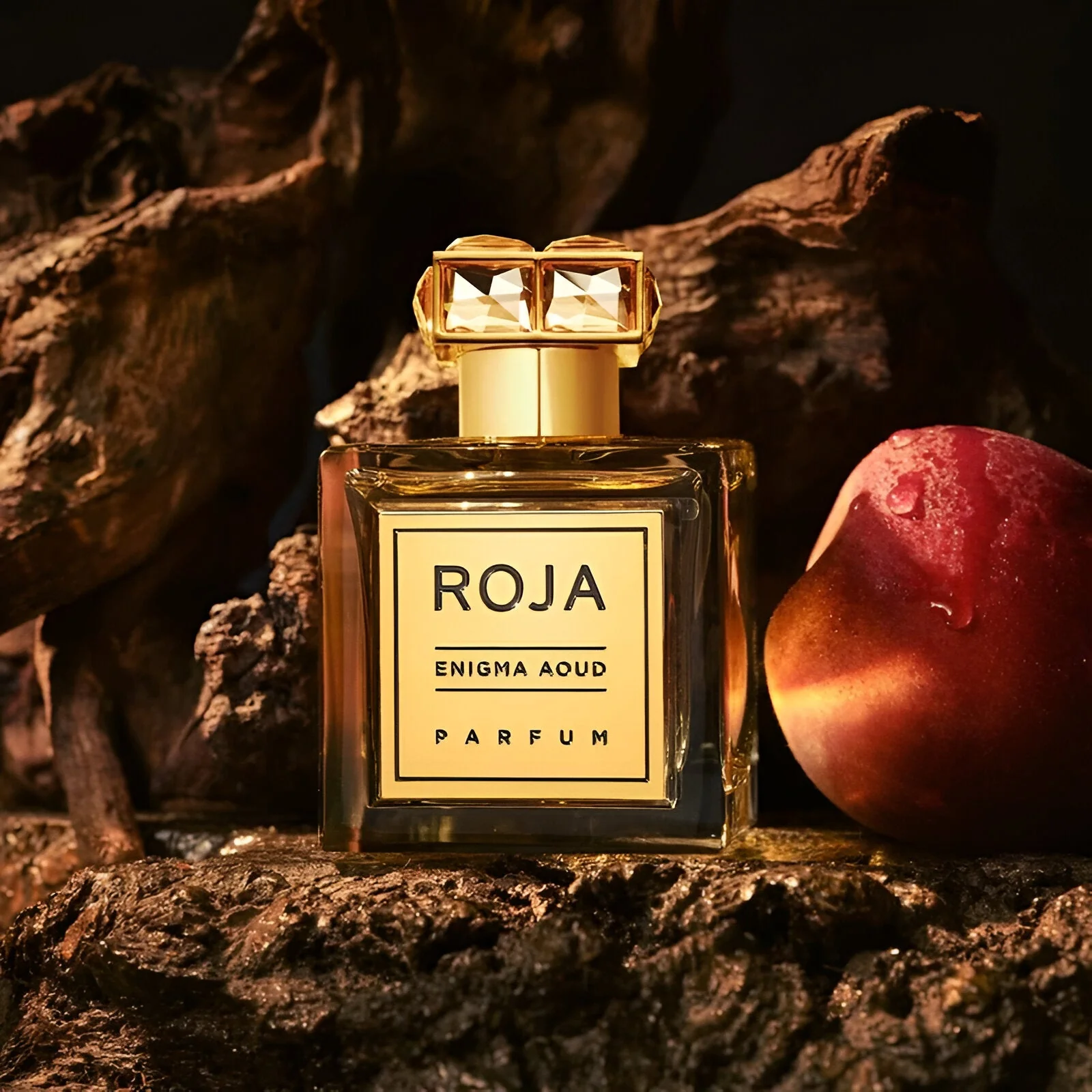 Roja Parfums Enigma Aoud Pour Femme Parfum - Image 3
