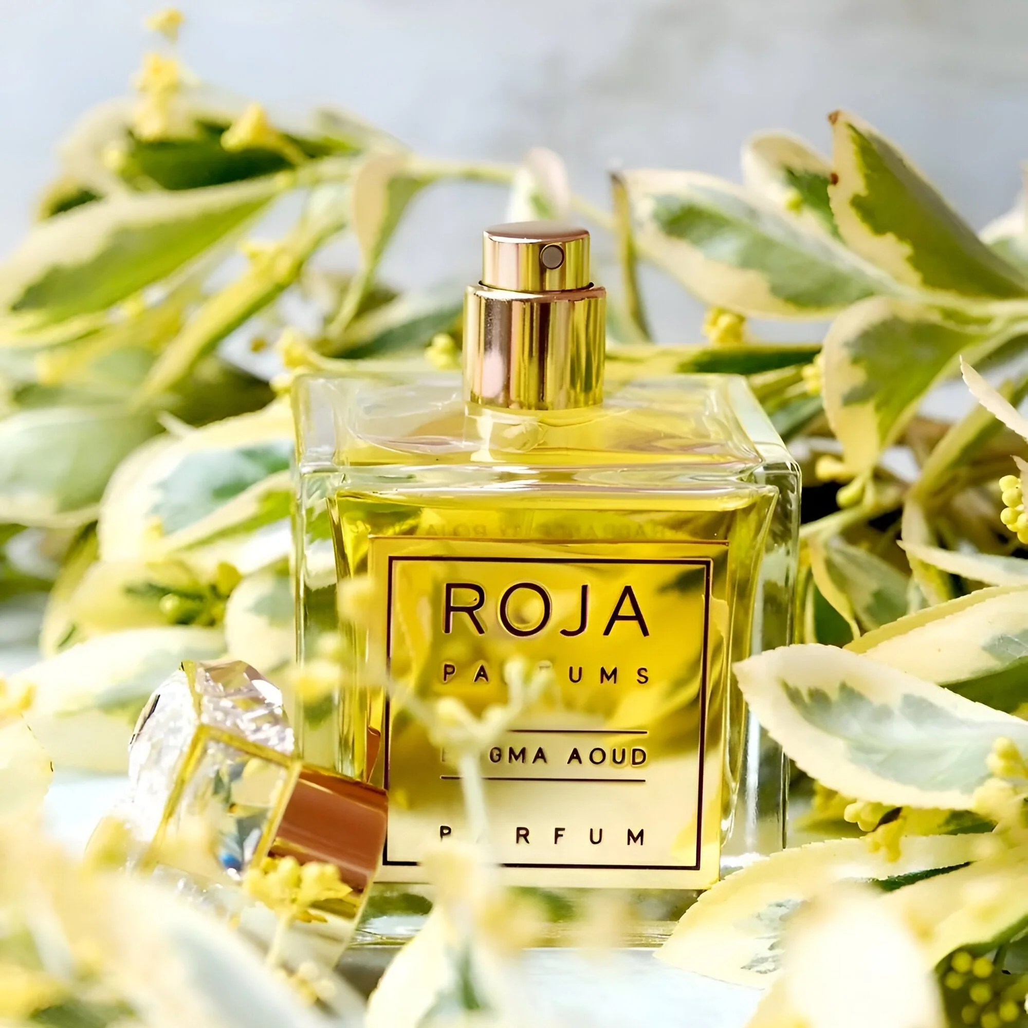 Roja Parfums Enigma Aoud Pour Femme Parfum - Image 4