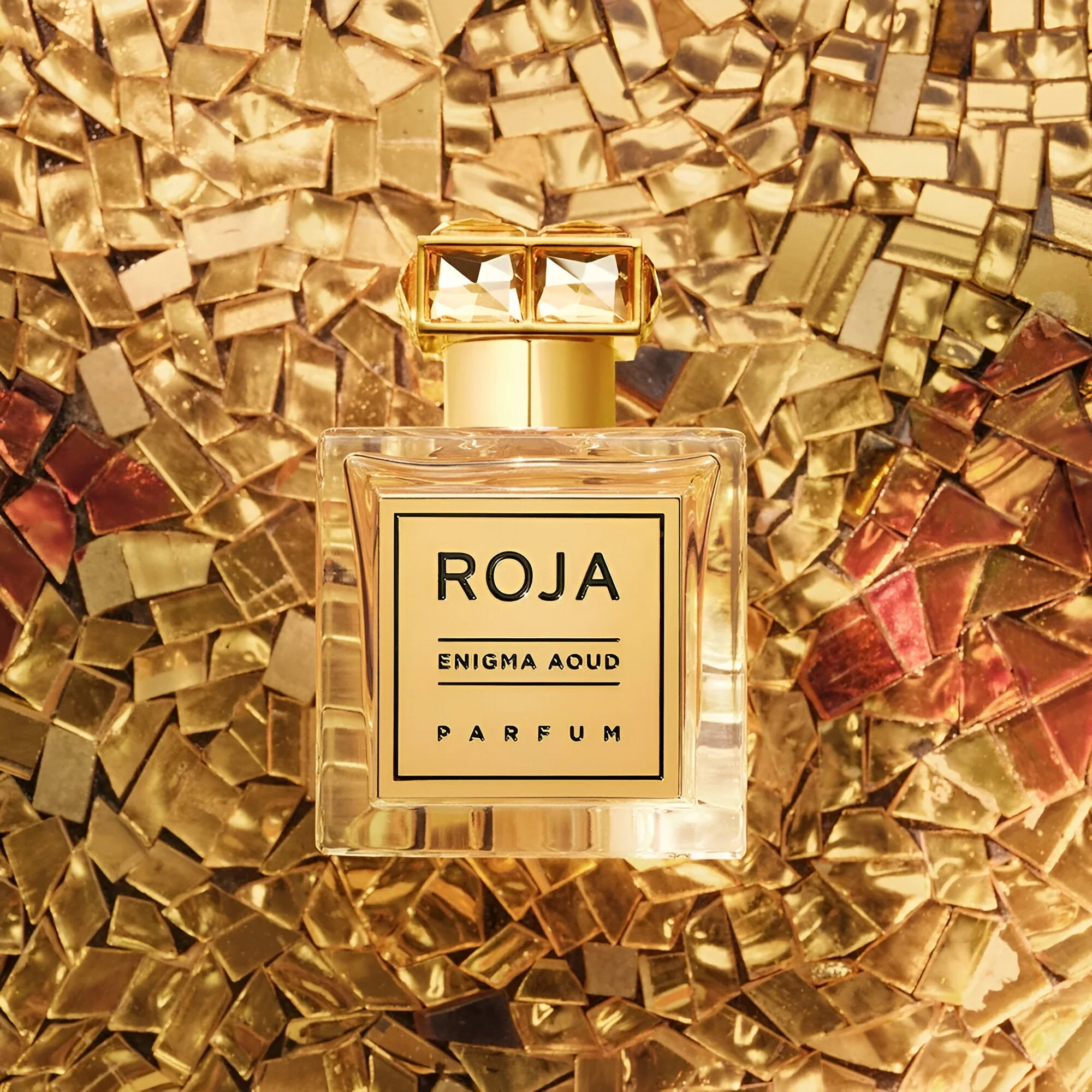 Roja Parfums Enigma Aoud Pour Femme Parfum - Image 5