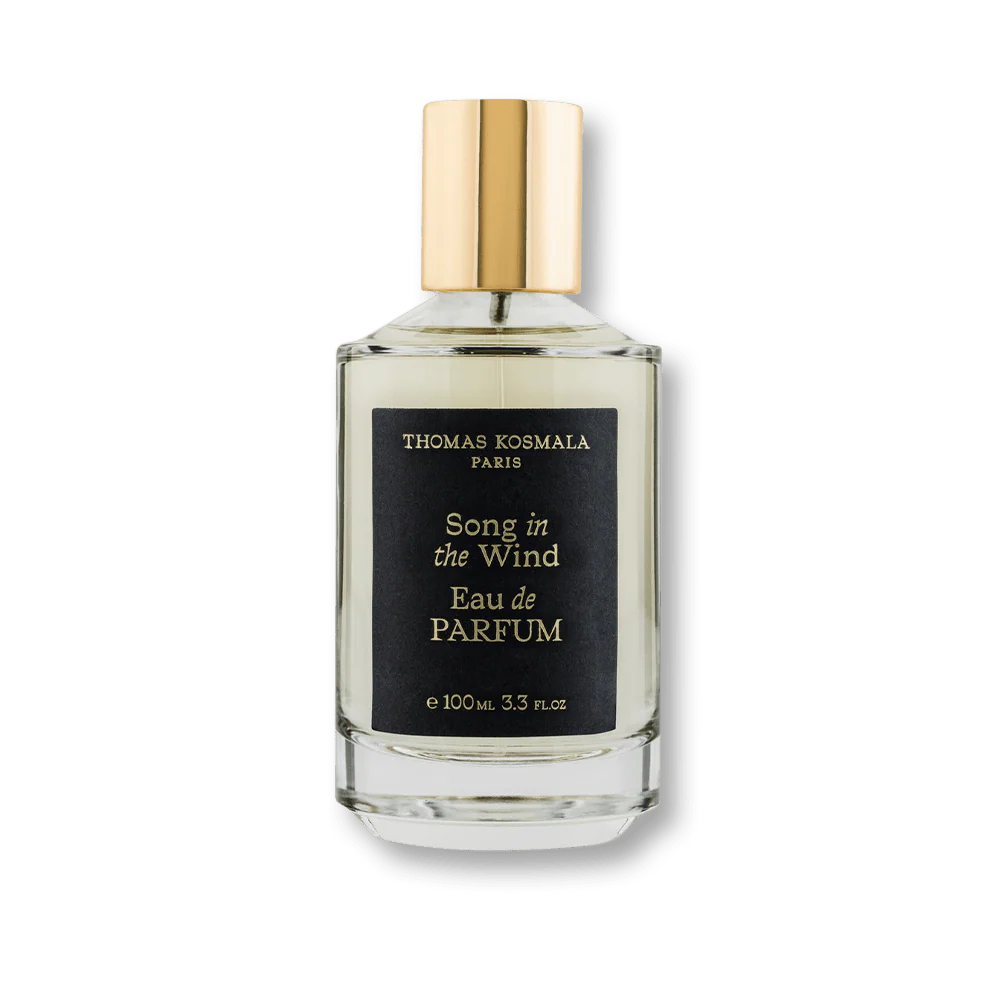Thomas Kosmala Song In The Wind EDP