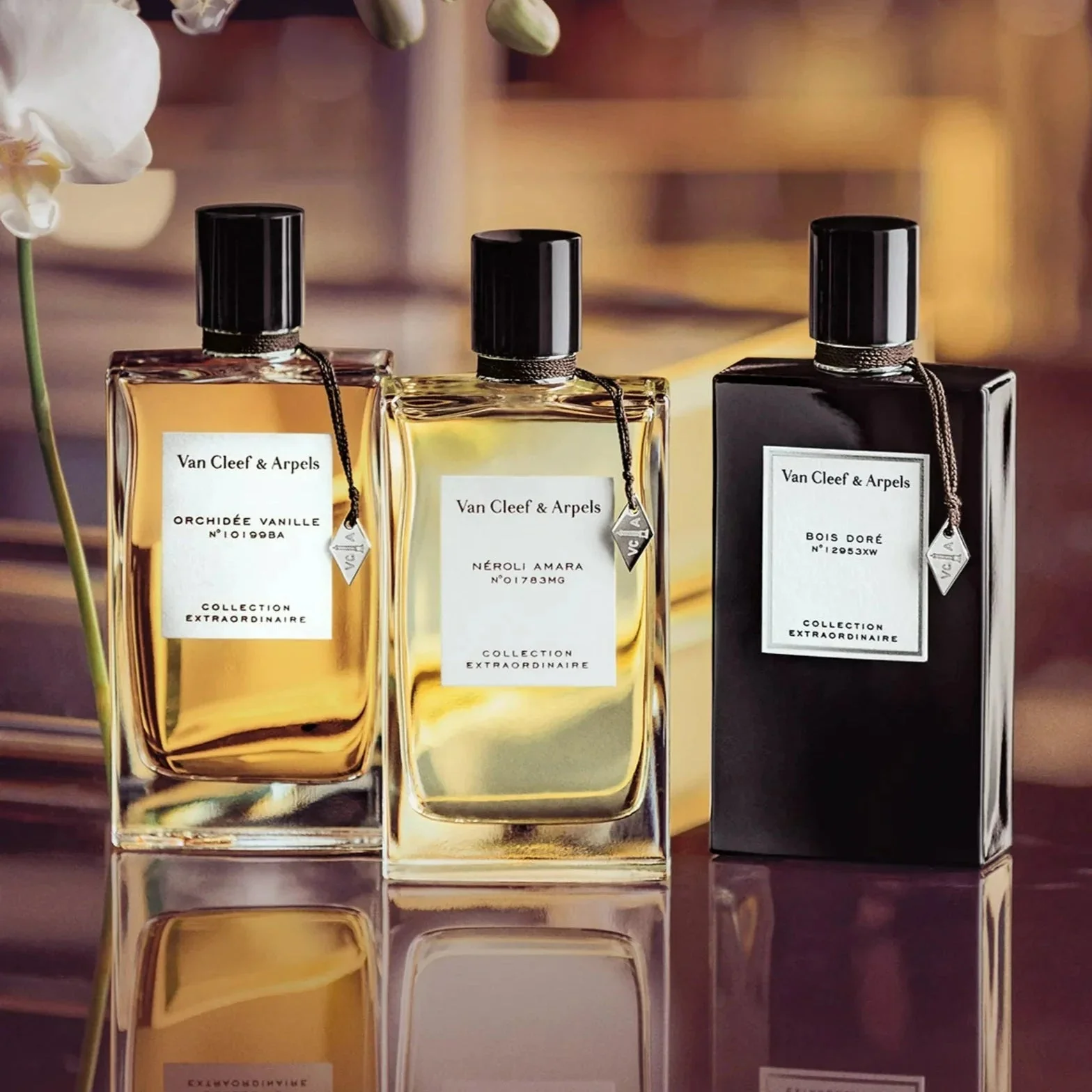 Van Cleef & Arpels Bois Dore EDP - Image 5